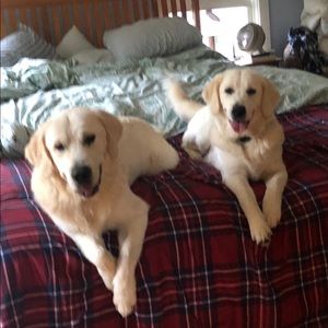 Meet your Posher, Michelle